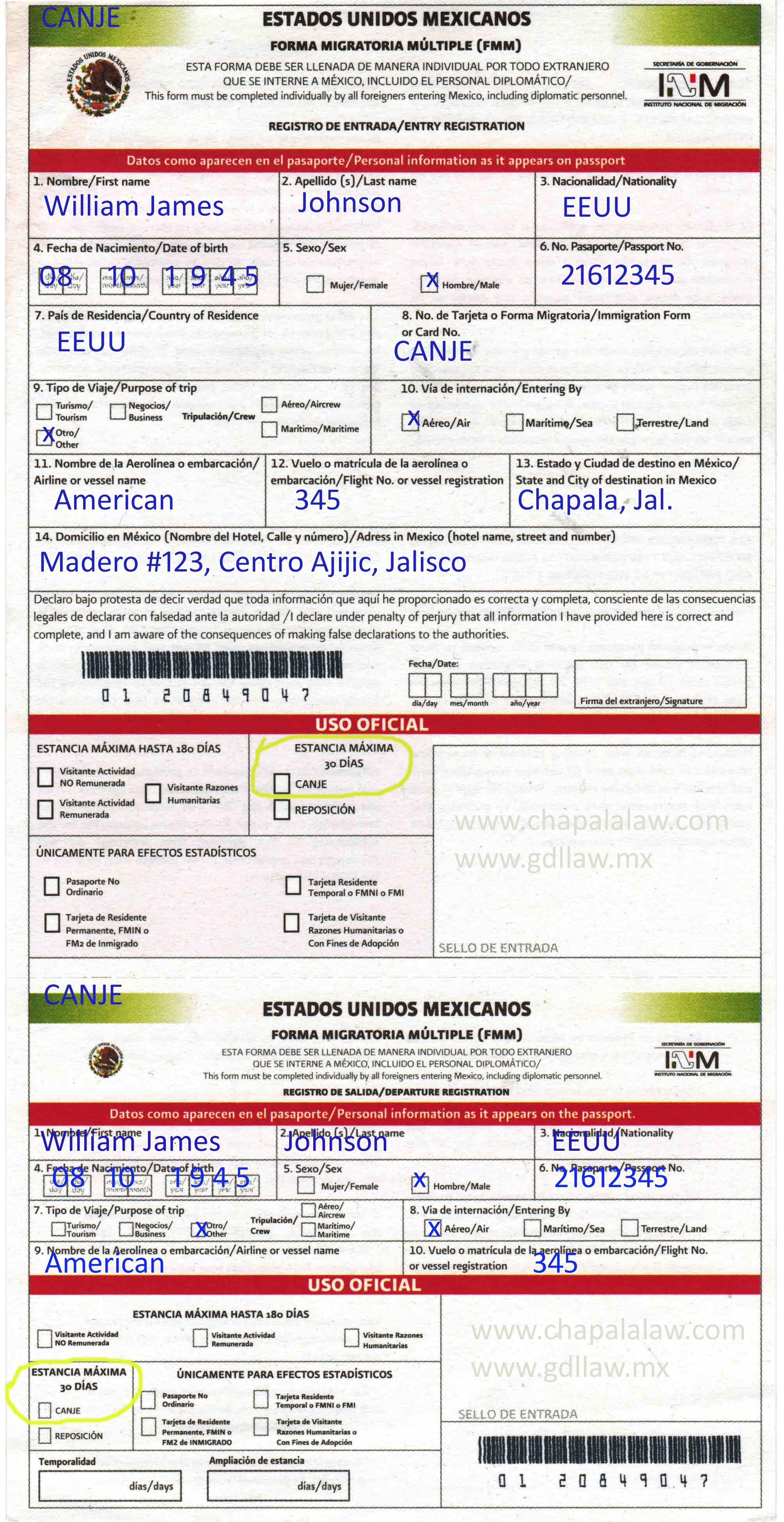 FMM Sample Filled Out Forms Customs And Immigration Chapala 